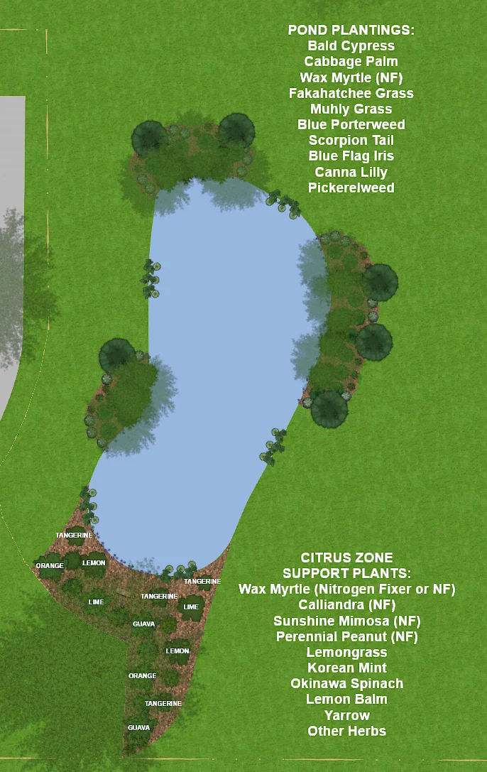 Food forest citrus zone layout, section 1