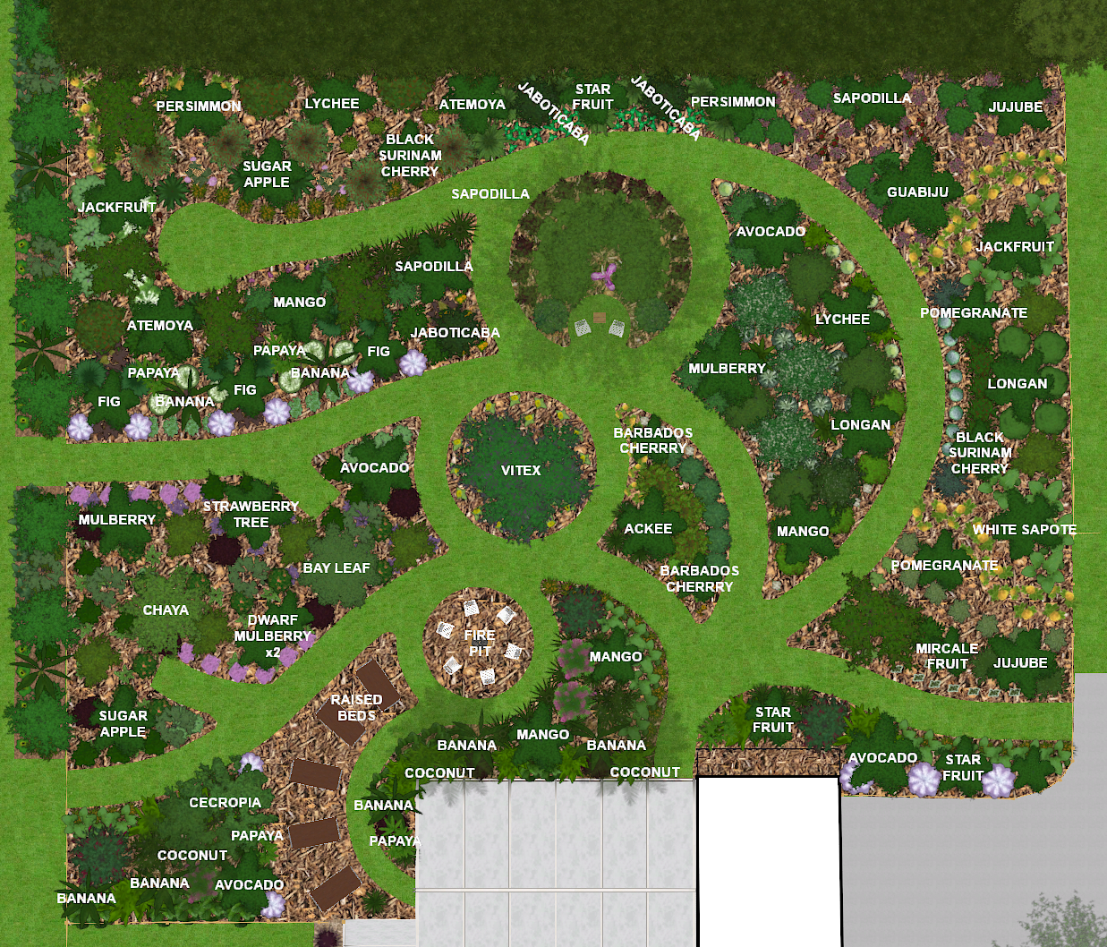 Food forest north fruit layout